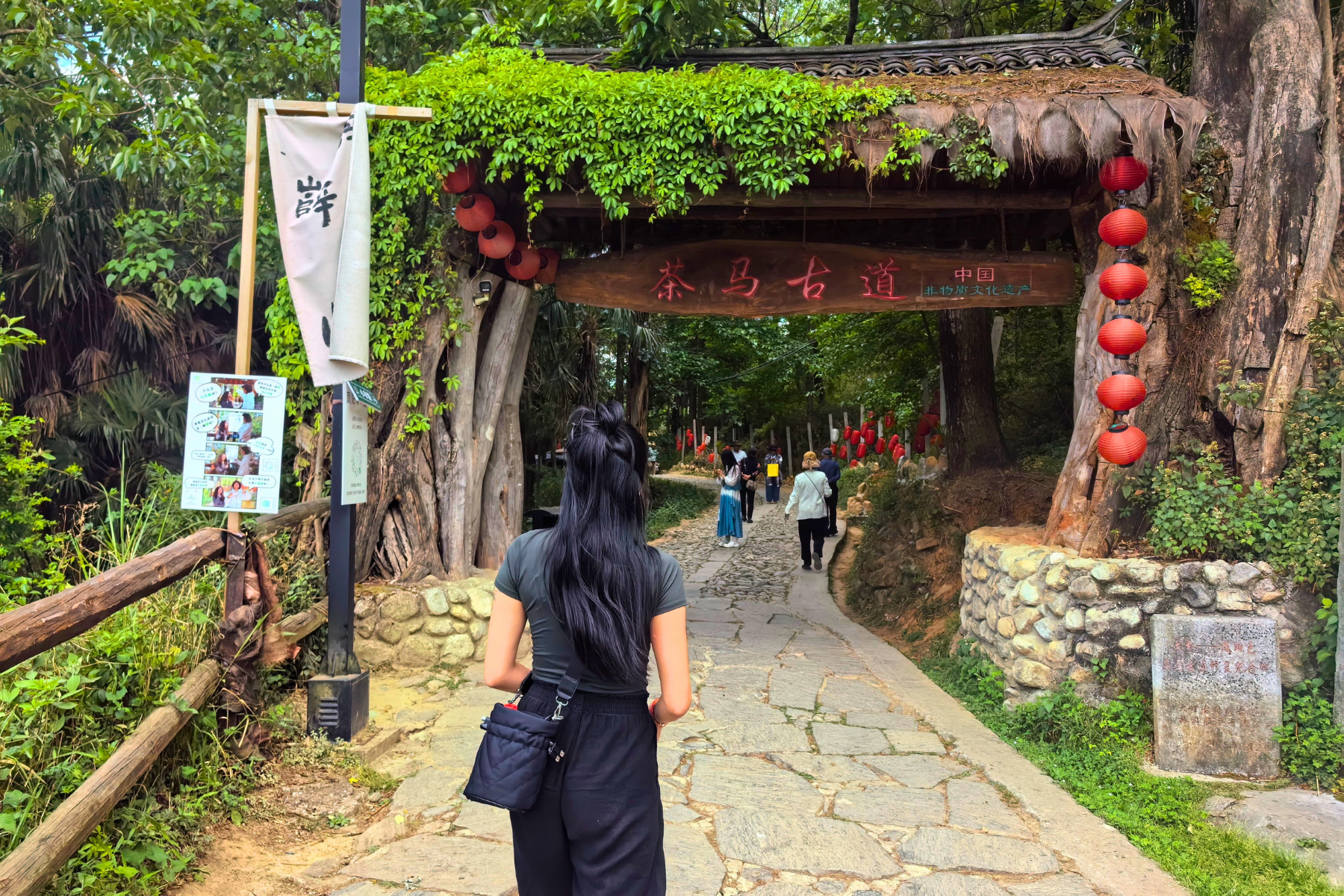 Reclaiming Mindfulness through the Ancient Way of Tea