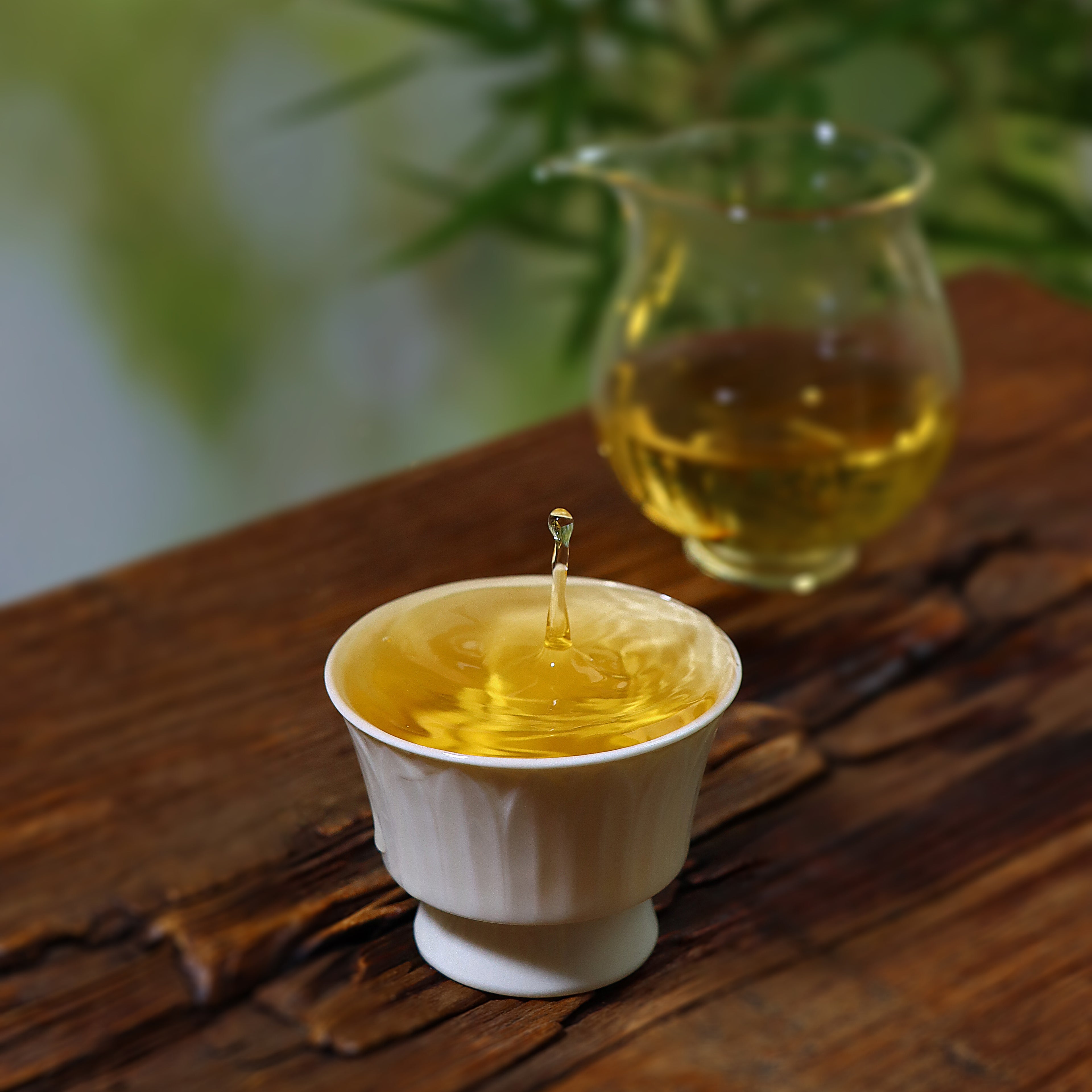 Ancient Tree White Tea