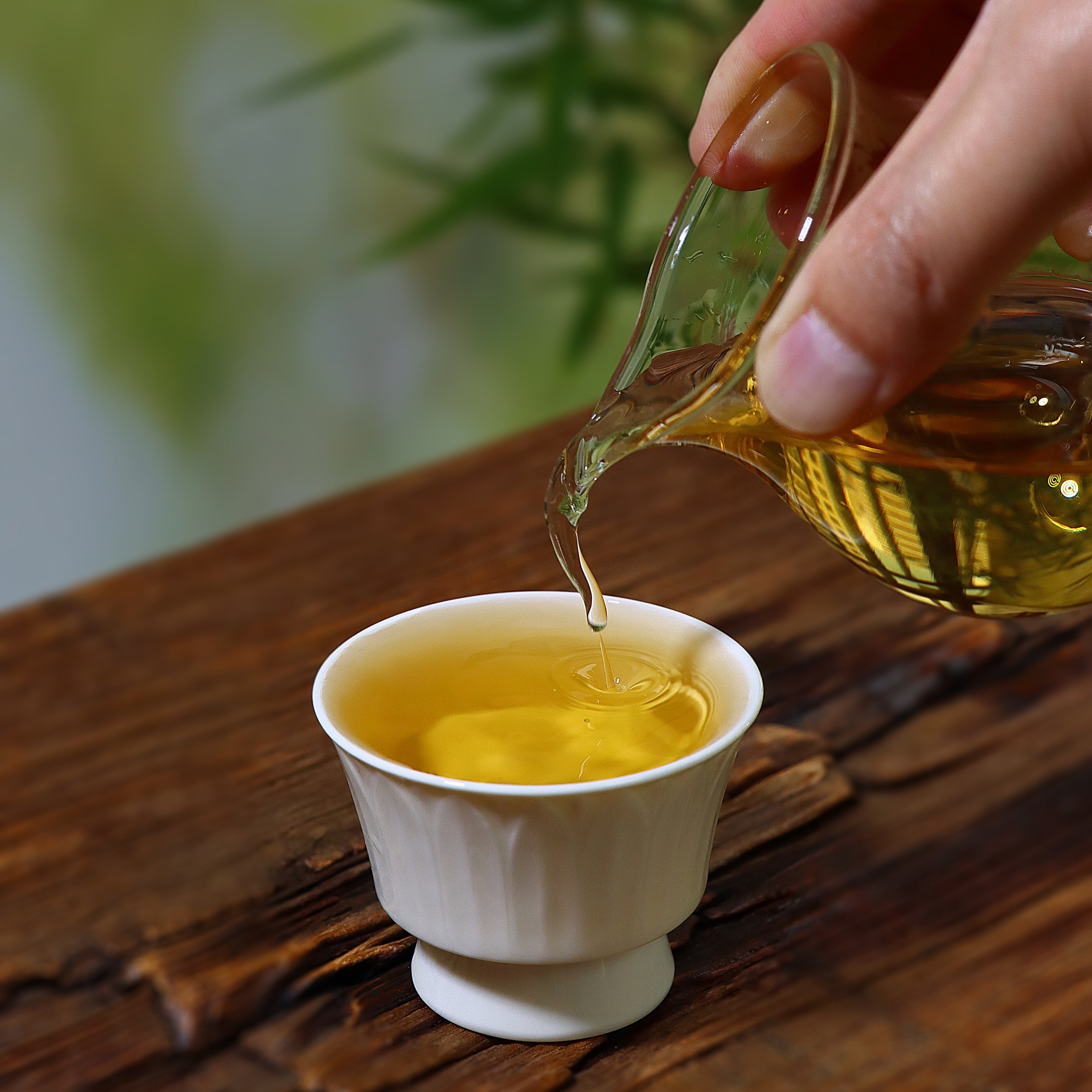 Hand pouring honey coloured tea into a white porcelain cup on a wooden table with a blurred green background