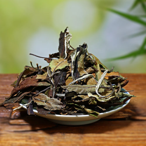 Dry tea leaves on a white plate with a blurred green background